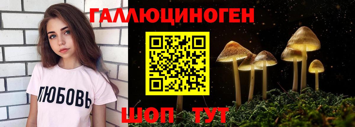 купить   Галлюциногенные грибы прущие грибы  Вход с VPN  Кизляр 