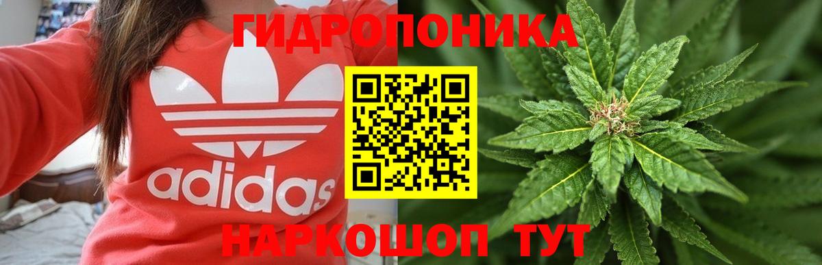 Конопля Ganja Кизляр